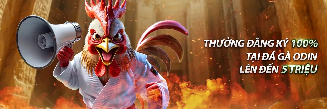 Tổng hợp các trò chơi cá cược phổ biến trên Kubet App