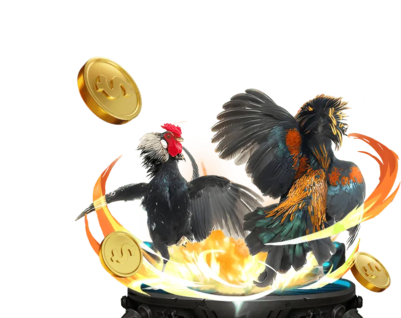 Đá gà trực tiếp tại App Kubet